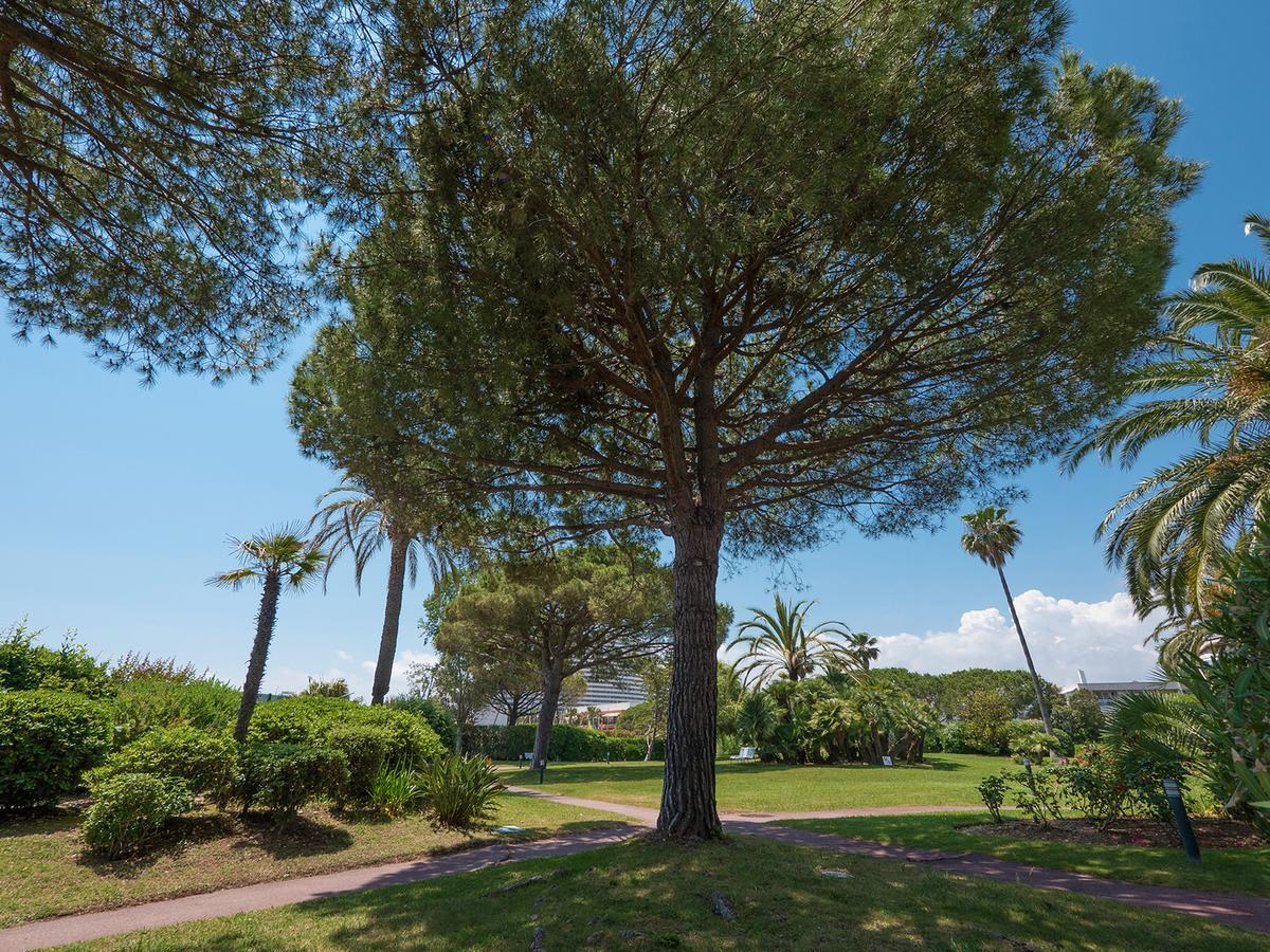 Hotel Bahia Villeneuve-Loubet Eksteriør bilde