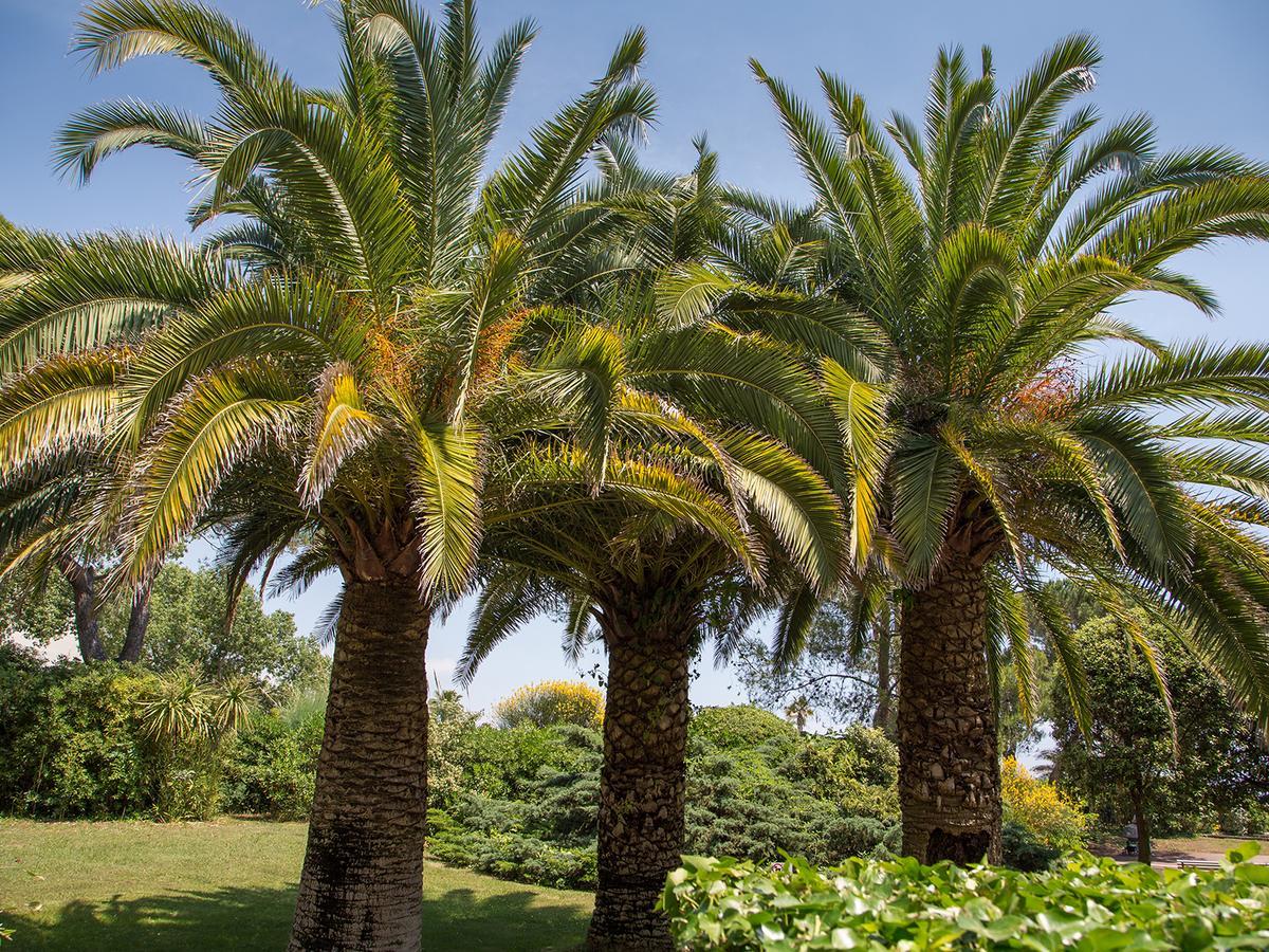 Hotel Bahia Villeneuve-Loubet Eksteriør bilde