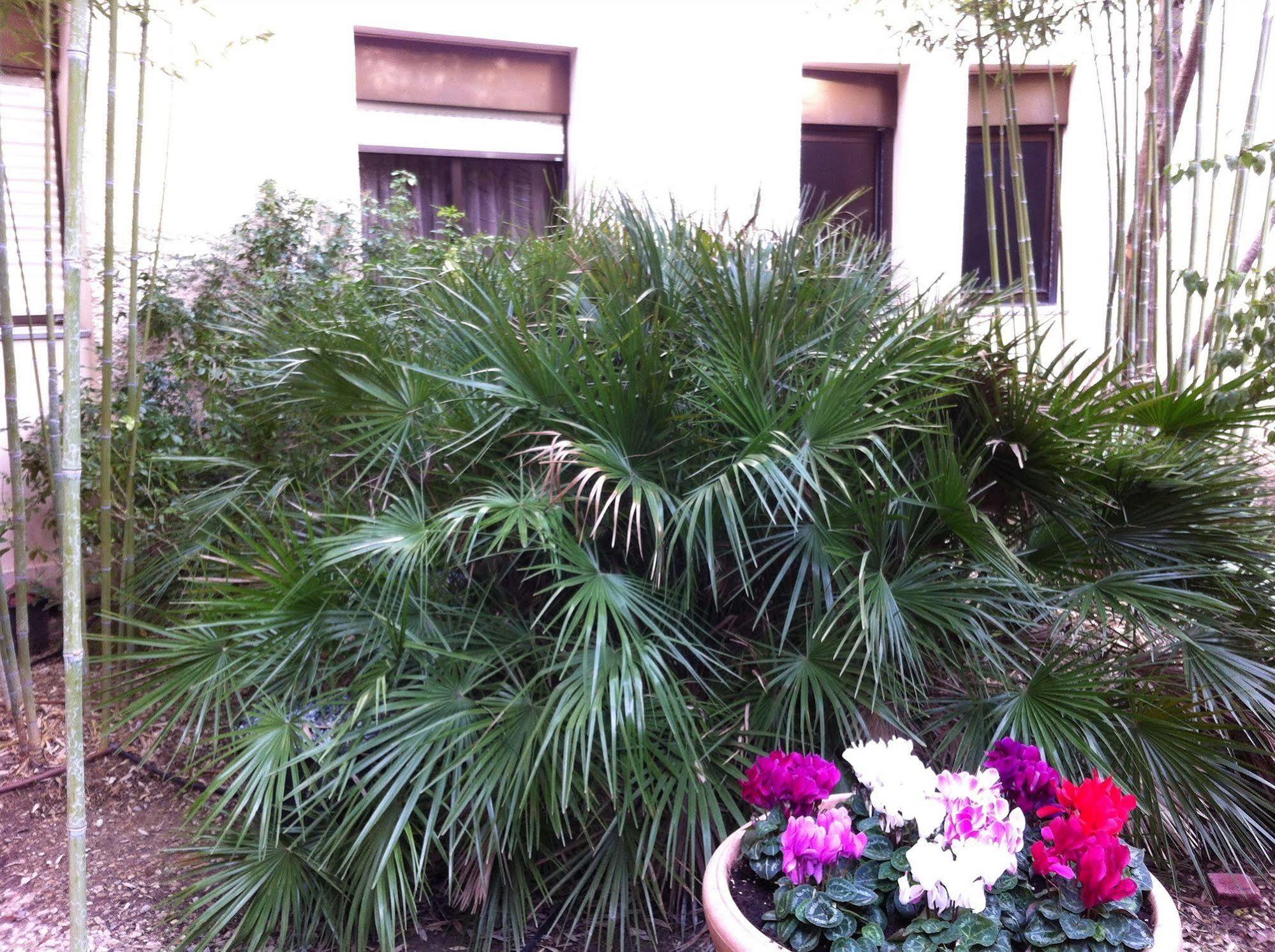 Hotel Bahia Villeneuve-Loubet Eksteriør bilde